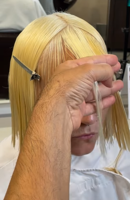 Butterfly Bangs and Bi-Layer Flips